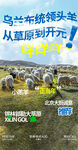 創(chuàng)意羊肉宣傳廣告