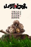 蘑菇山菌美食促銷海報