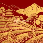 農民茶葉茶山茶園摘茶元素