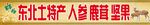 東北特產(chǎn)人參鹿茸堅(jiān)果