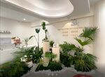 室內綠植景觀布置展示