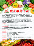 超市宣傳