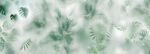 霧氣磨砂膜效果綠植貼圖