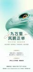九萬里風鵬正茂人才精英招聘海報