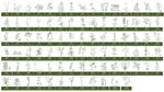 中草藥 