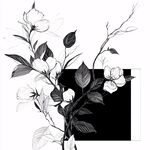 黑白花卉線描插畫藝術