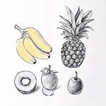 手繪多彩水果組合插畫