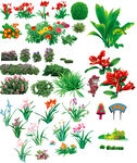 花草