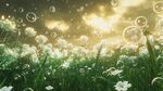 夢幻蒲公英草地陽光泡泡