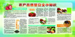 農(nóng)產(chǎn)品黑豆種植宣傳頁