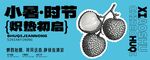 小暑時節(jié)荔枝插畫