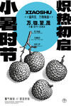 夏日小暑荔枝時(shí)節(jié)插畫