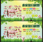 豬肉分解圖