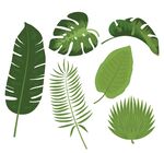 北歐植物