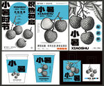 小暑荔枝VI創(chuàng)意設(shè)計