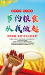 節(jié)約糧食