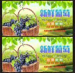 葡萄