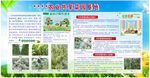 農(nóng)業(yè)農(nóng)場(chǎng)共享菜園基地展板