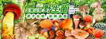 野生菌廣告  