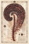 復(fù)古螺旋狀神秘生物圖譜