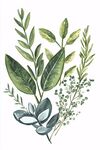 手繪清新綠植組合插畫(huà)