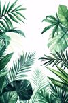熱帶綠植邊框插畫