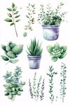 水彩風(fēng)綠植盆栽插畫(huà)素材