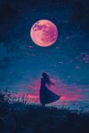 月下獨(dú)影 夢幻夜色之美