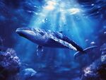 深海藍(lán)鯨暢游夢幻海底世界