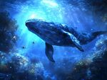 深海鯨魚的夢幻海底世界