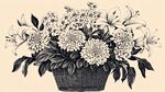 黑白花籃插畫 花卉雅致