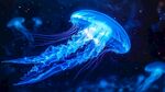 夢幻藍水母在深海中游弋