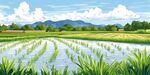 水田風(fēng)光 綠意盎然的田野