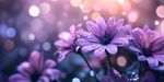 紫花凝露 夢幻浪漫景致