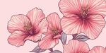 粉色手繪木槿花插畫