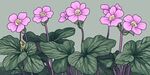 粉色花朵與綠葉植物插畫