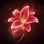 夢幻閃耀的粉色百合花
