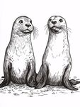 兩只海獅的黑白插畫