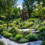 美麗的自然風(fēng)花園景觀