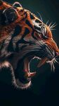 怒吼的猛虎