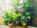 室內(nèi)綠植景觀 陽光中的生機(jī)