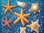 海洋海星貝殼夢幻插畫