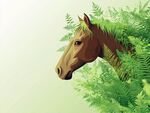 叢林中的馬頭