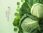 新鮮卷心菜與綠葉蔬菜