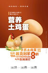 營養(yǎng)土雞蛋