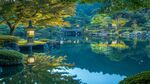 日式靜謐園林湖景風光