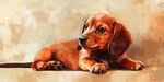 可愛(ài)臘腸犬愜意趴臥