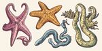 海洋生物手繪插畫集合