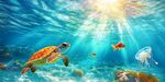 海龜悠游于絢爛海底世界