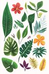 熱帶植物花卉素材圖